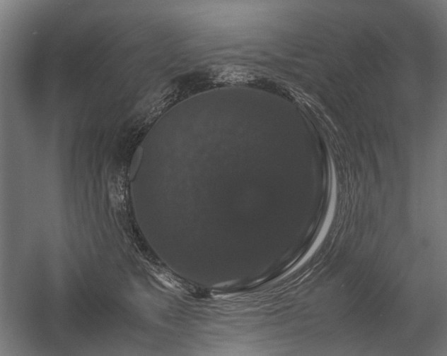 X0000058100517200509231003