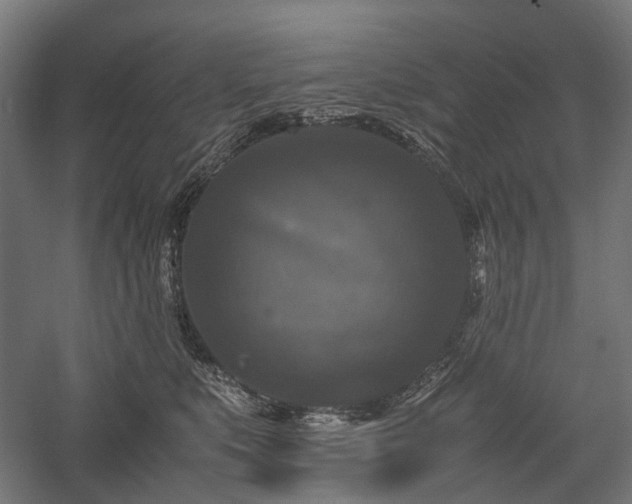 X0000058100519200509231003