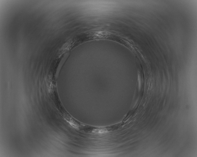 X0000058100520200509231003