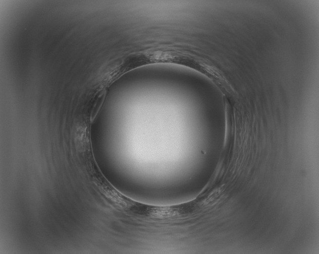 X0000058100521200509231003
