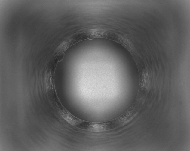 X0000058100522200509231003