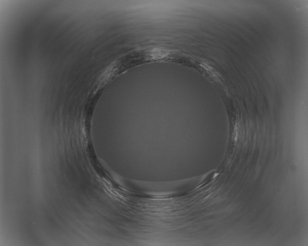 X0000058100524200509231003