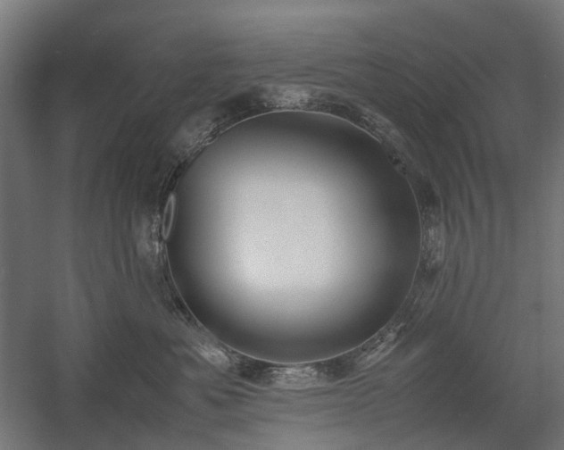 X0000058100525200509231003