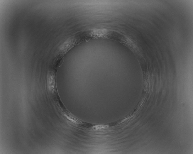 X0000058100526200509231003