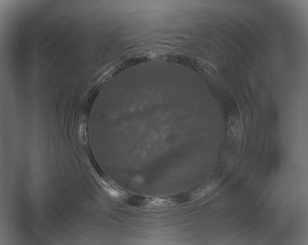X0000058100527200509231003