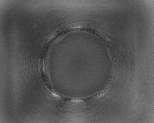 X0000058100528200509231003