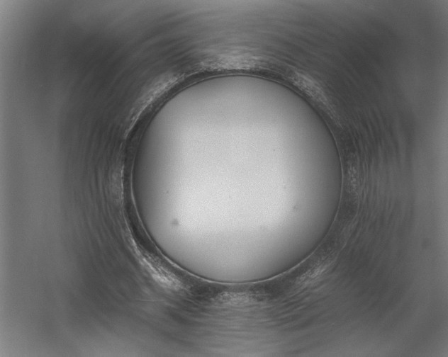 X0000058100534200509231002