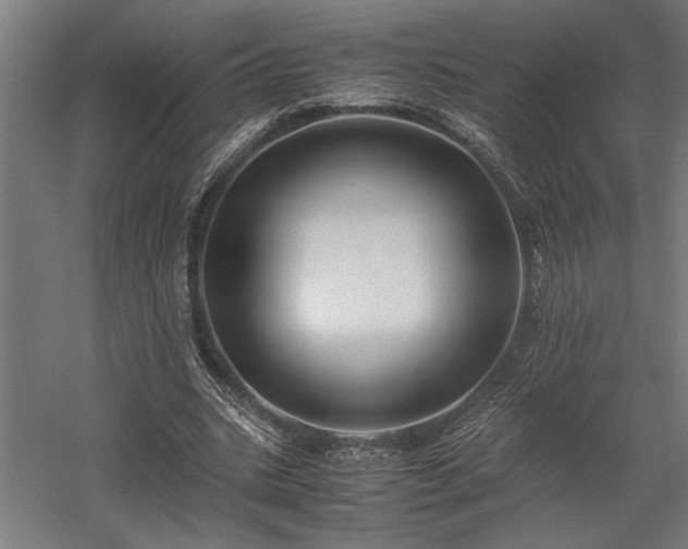 X0000058100535200509231002