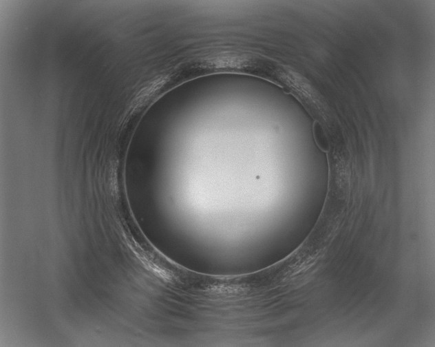 X0000058100537200509231002