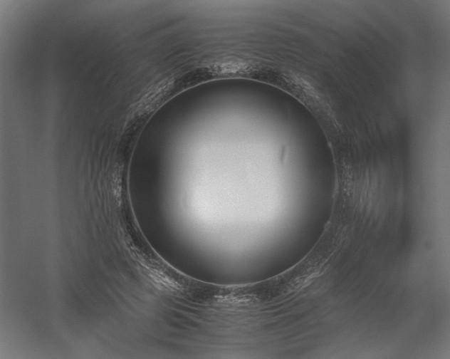 X0000058100545200509231002