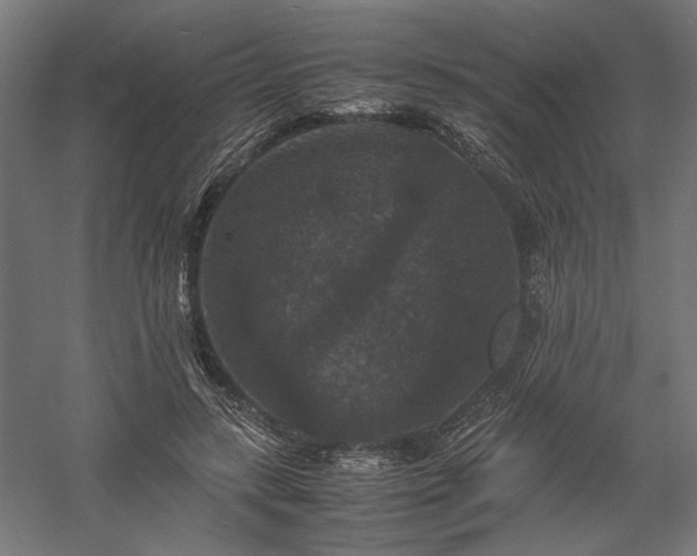 X0000058100547200509231002