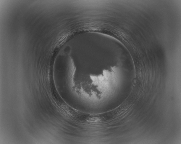 X0000058100551200509231002