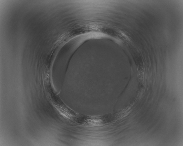 X0000058100552200509231002