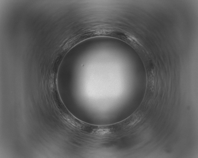 X0000058100554200509231002