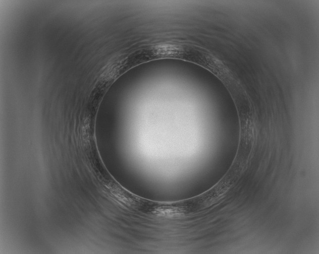 X0000058100557200509231003