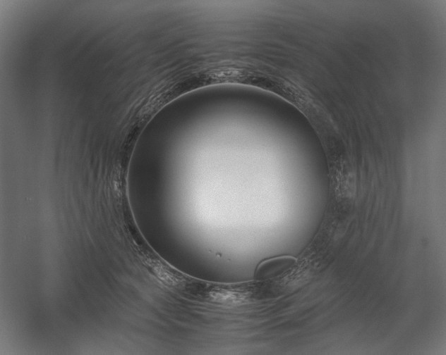 X0000058100561200509231003