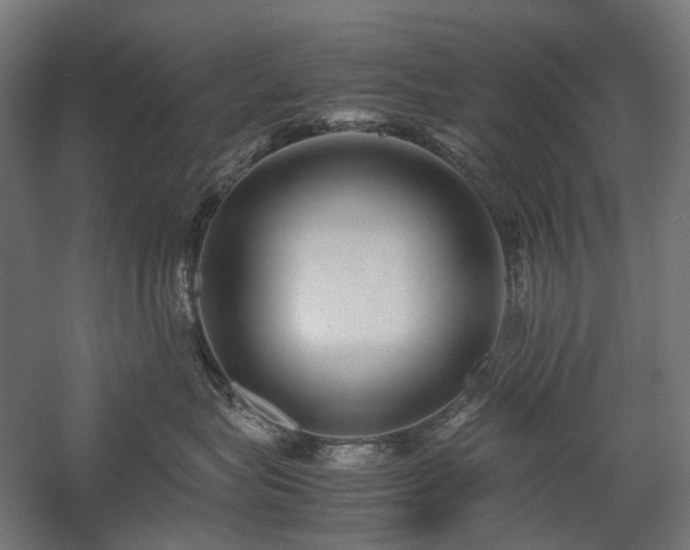 X0000058100575200509231003