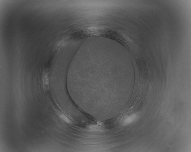 X0000058100576200509231003