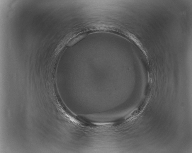 X0000058100577200509231002