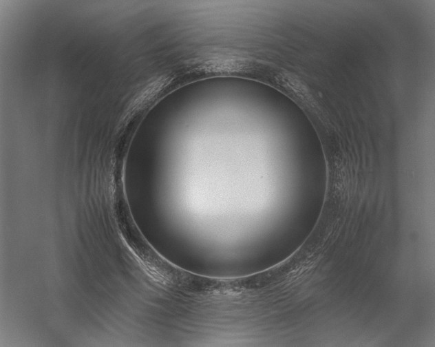 X0000058100586200509231002