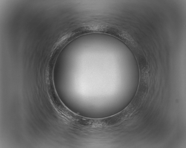 X0000058100587200509231002