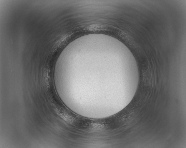 X0000058100592200509231002