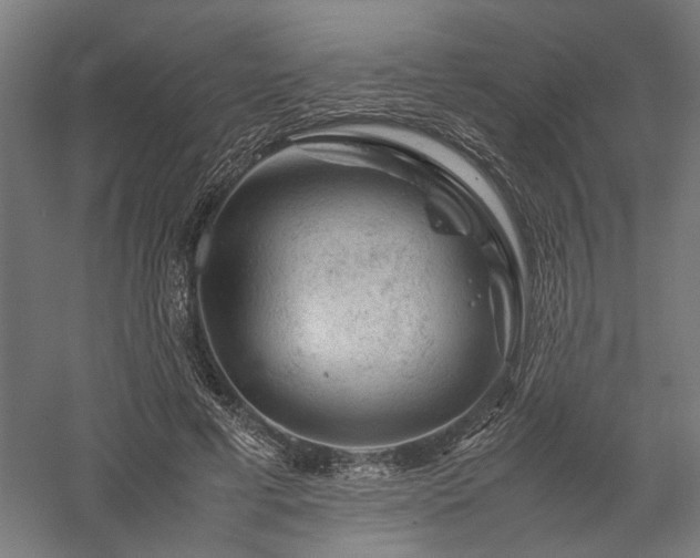 X0000058100593200509231002