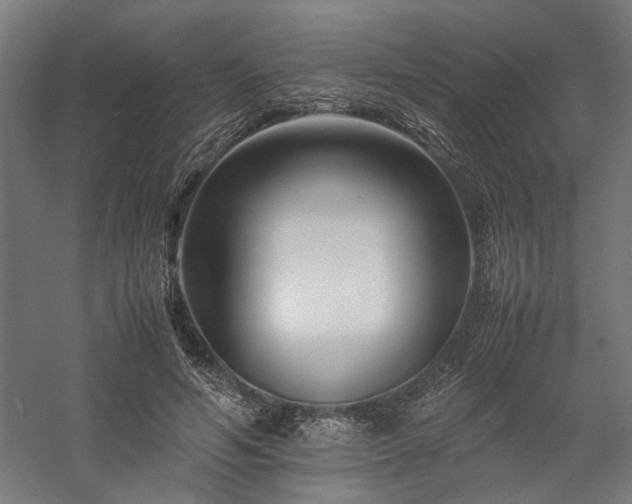 X0000058100594200509231002