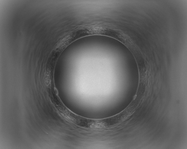 X0000058100599200509231002