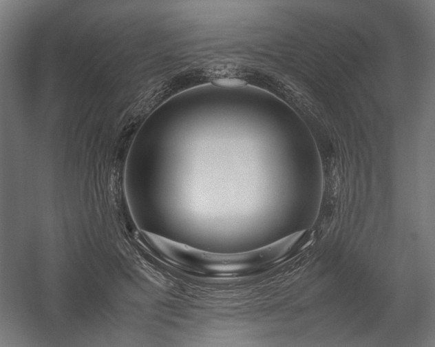 X0000058100601200509231002