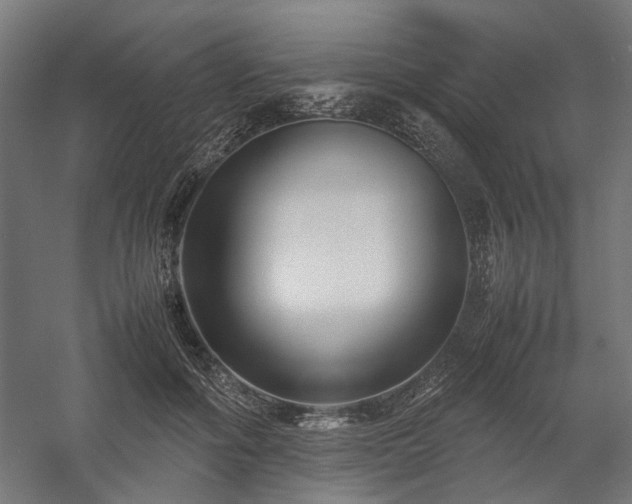 X0000058100602200509231002