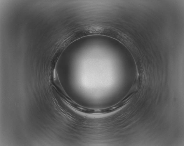 X0000058100604200509231002