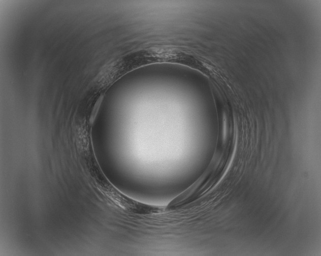 X0000058100609200509231001