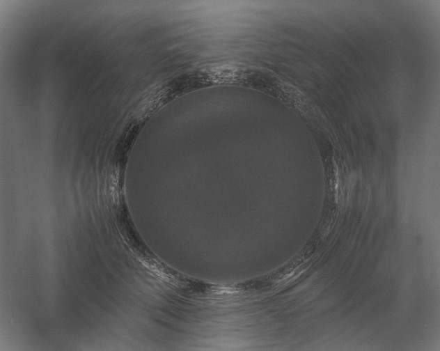 X0000058100610200509231001