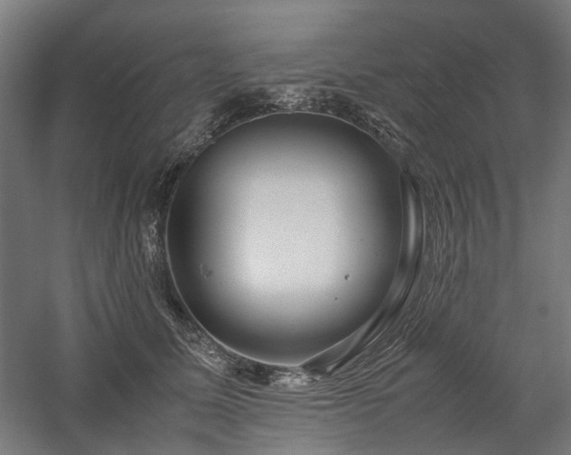 X0000058100611200509231001