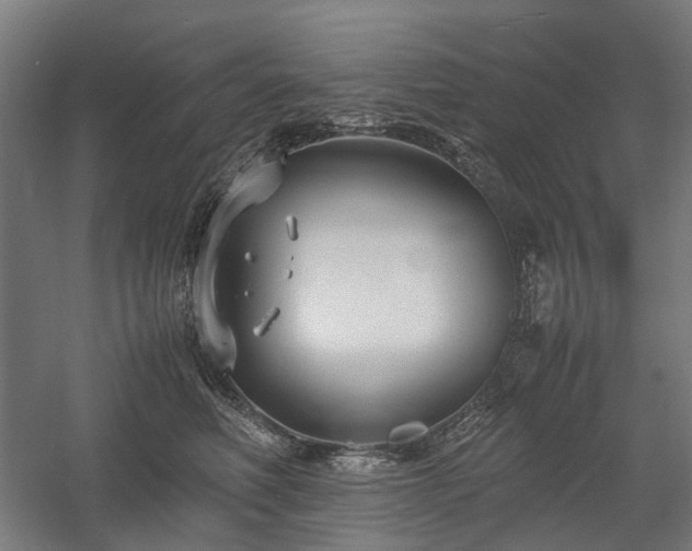 X0000058100614200509231001