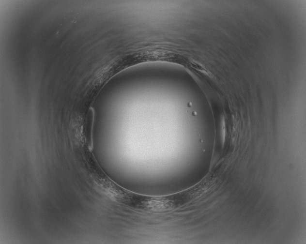 X0000058100615200509231001