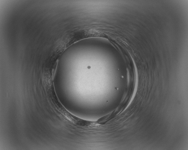 X0000058100617200509231001