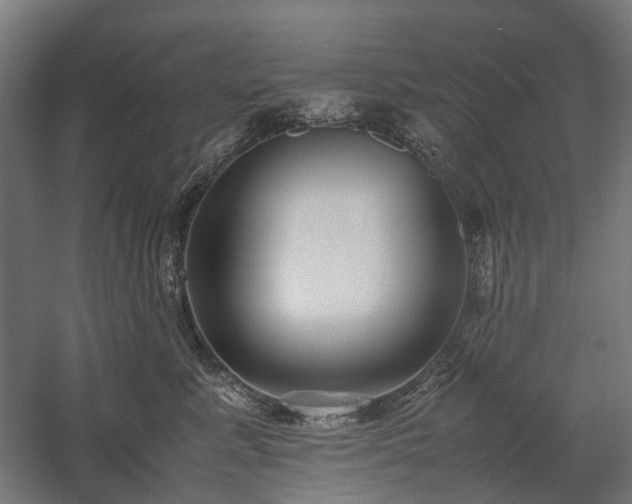 X0000058100619200509231001
