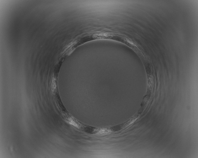 X0000058100621200509231001