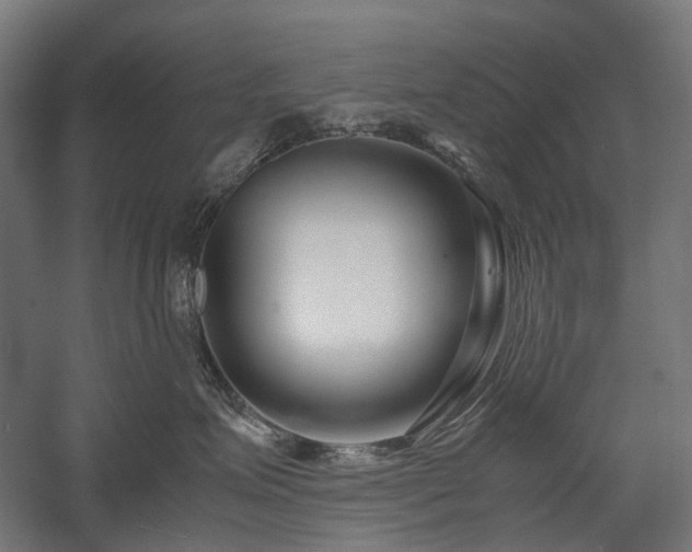 X0000058100623200509231001