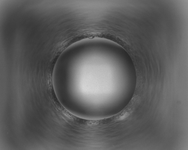 X0000058100624200509231001