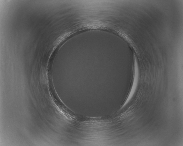X0000058100626200509231000
