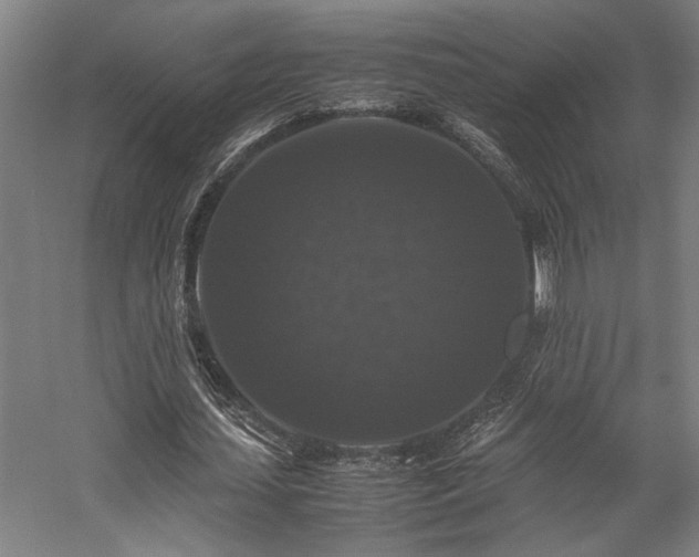 X0000058100627200509231000