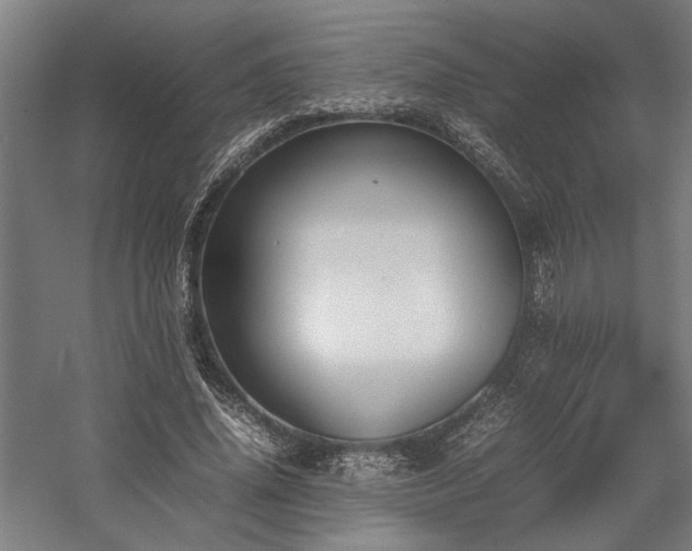 X0000058100636200509231001