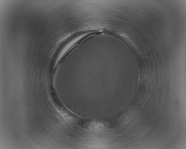 X0000058100640200509231001