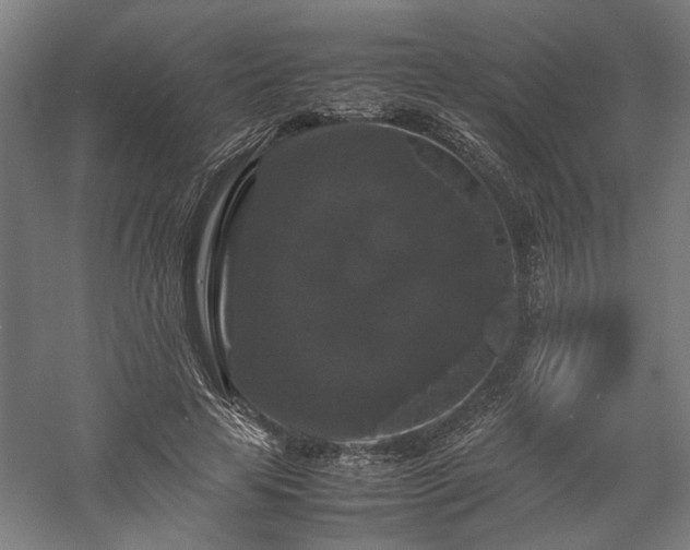 X0000058100641200509231001
