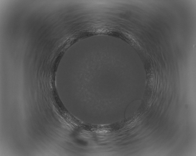 X0000058100643200509231001