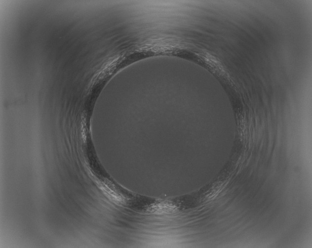 X0000058100644200509231001