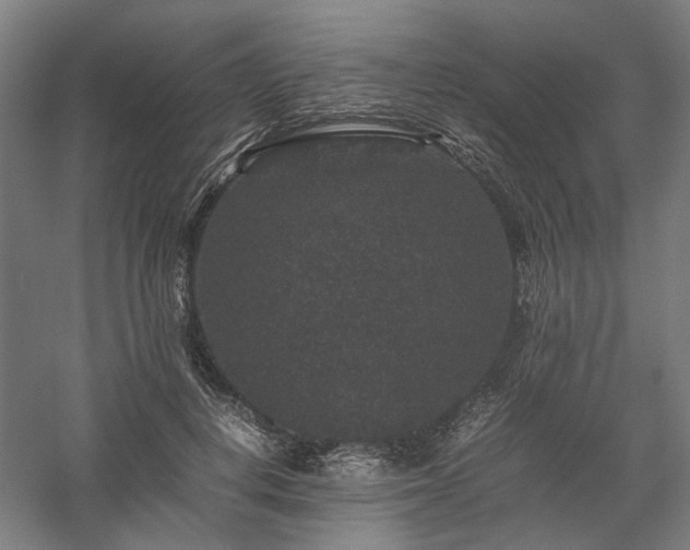 X0000058100648200509231001
